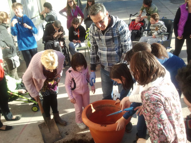 plantamos un árbol